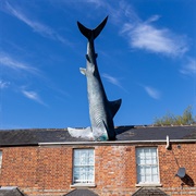 The Headington Shark, England, UK