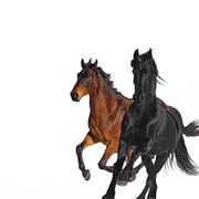 Old Town Road (Remix) - Lil Nas X Featuring Billy Ray Cyrus