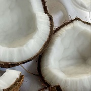 Coconut