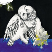 Songs: Ohia - Magnolia Electric Co. (2003)