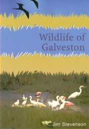 Wildlife of Galveston (Jim Stevenson)