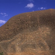 Lioness of Gobedra