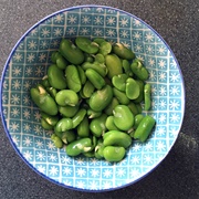 Boiled Broad Beans