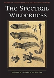 The Spectral Wilderness (Oliver Bendorf)