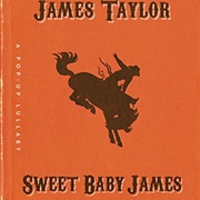 Sweet Baby James Pop Up Book