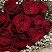 Red Roses