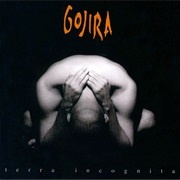 04 - Gojira