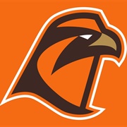 Bowling Green Falcons