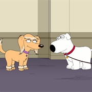 S16.E10: Boy (Dog) Meets Girl (Dog)