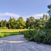 Naval Cemetery Landscape