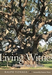 Living Witness: Historic Trees of Texas (Ralph Yznaga)