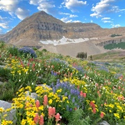 Uinta-Wasatch-Cache National Forest (Utah)