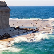 Peninsula Valdes, Argentina