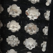 Putim Ossuary