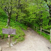 Hike on the Appalachian Trail