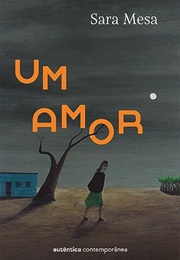 Um Amor (Sara Mesa)