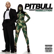 I Know You Want Me (Calle Ocho) - Pitbull