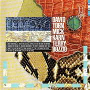 David Torn, Mick Karn &amp; Terry Bozzio - Polytown