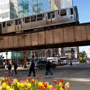 Ride the L Train, Chicago