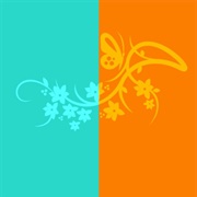 Turquoise / Orange