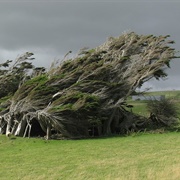 Slope Point, New Zealand