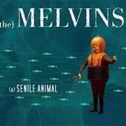 A History of Drunks - Melvins