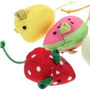 Cat Toys for Your Best Friend