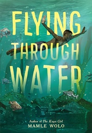 Flying Through Water (Mamle Wolo)