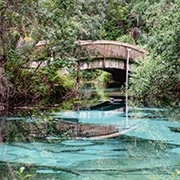 Ocala National Forest, Florida