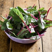 Red Chard