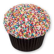 Rainbow Sprinkle Cupcake