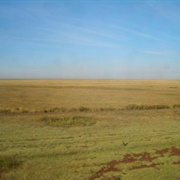 Steppe