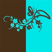 Brown / Aqua