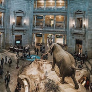 Smithsonian National Museum of Natural History, USA