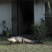 Atlanta: &quot;Alligator Man&quot; (S2,E1)