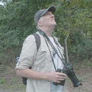 How to With John Wilson: &quot;How to Watch Birds&quot; (S3,E5)