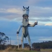 Tin Horse Highway