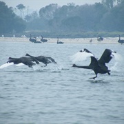 The Lakes National Park