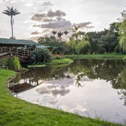 Bogotá Botanical Garden