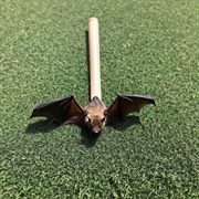 No Touch Bat Removal Solutions