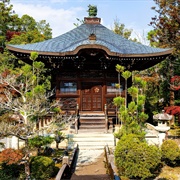 Seiryo-Ji, Japan