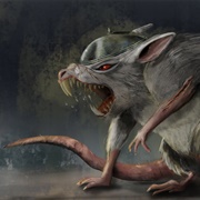 Giant Rats (8)