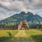 Volcanoes National Park, Rwanda