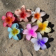 Hibiscus Hair Pin