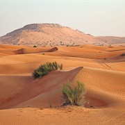 Arabian Desert (Western Asia)