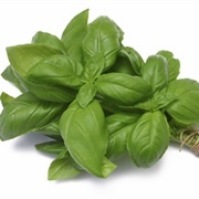 Basil Leaves