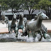 The Mustangs of Las Colinas, USA