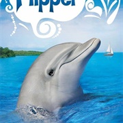 Flipper Season 3