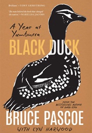 Black Duck (Bruce Pascoe)