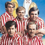 The Beach Boys